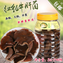 清水红乳牛肝菌3kg*4桶野生菌养生菌涮火锅炖汤新鲜蘑菇菌批量发