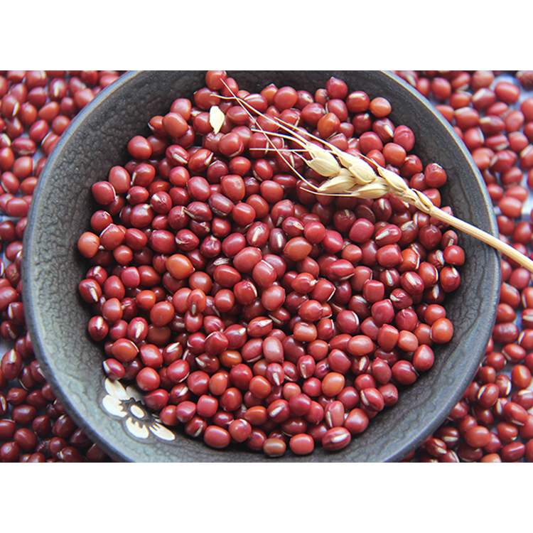 东北大红豆 新货大赤豆黑龙江农家红小豆薏米粥五谷杂粮5斤包邮 图片