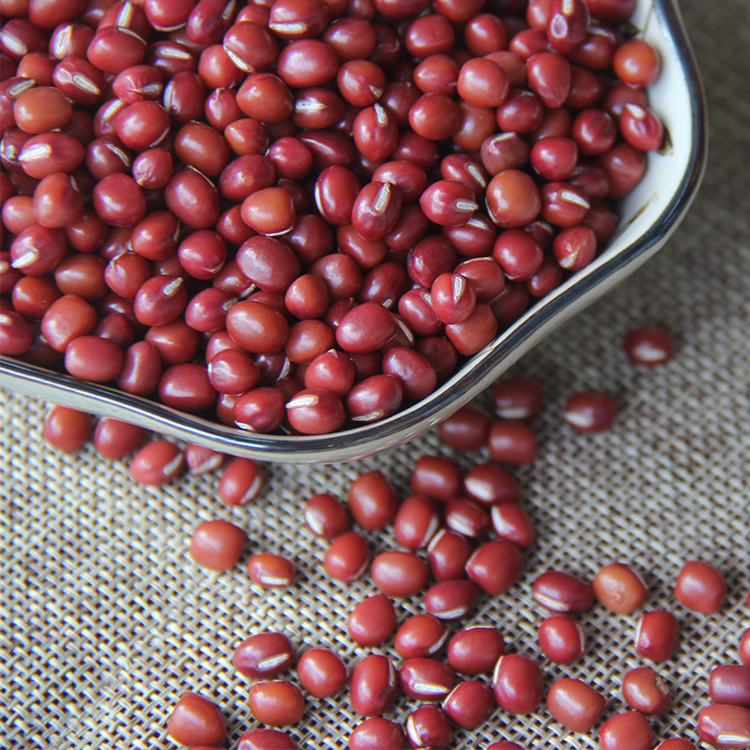 东北大红豆 新货大赤豆黑龙江农家红小豆薏米粥五谷杂粮5斤包邮 图片