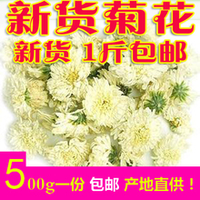 菊花茶500g包邮特级黄山贡菊白菊花草茶批黄菊花胎菊王发