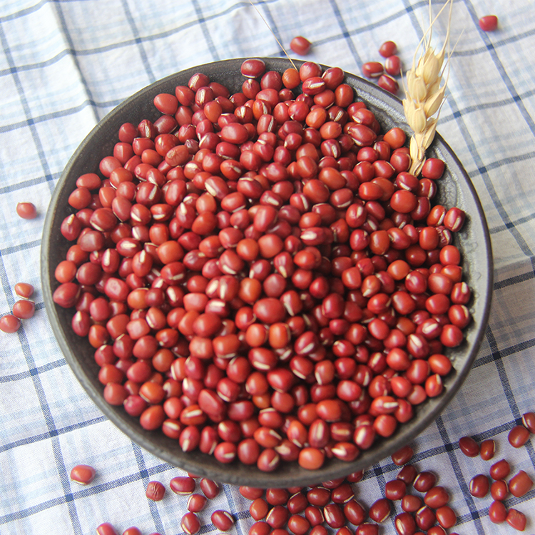 东北大红豆 新货大赤豆黑龙江农家红小豆薏米粥五谷杂粮5斤包邮 图片
