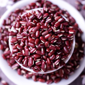 云南赤小豆农家用自产新货500g五谷杂粮小赤豆食用非小红豆包邮