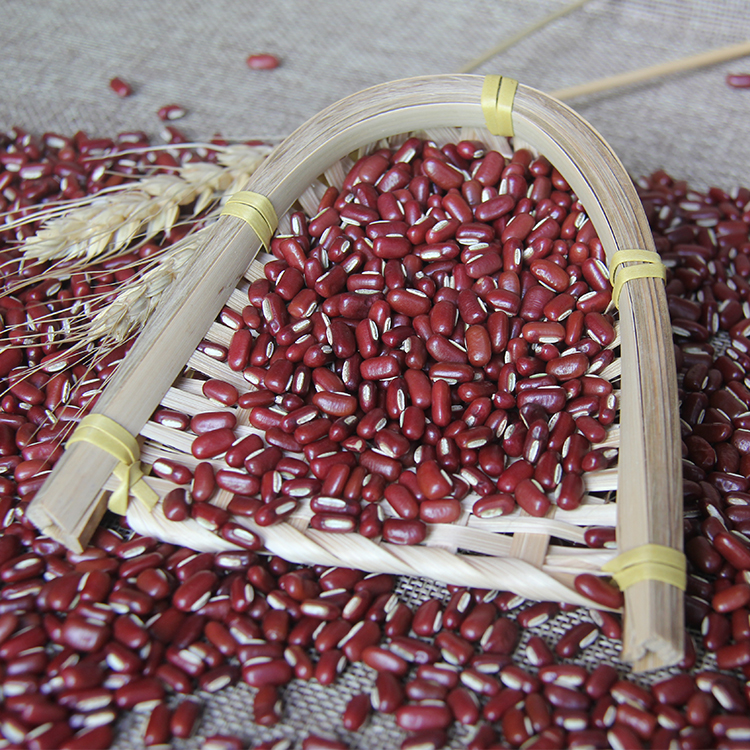 东北大红豆 新货大赤豆黑龙江农家红小豆薏米粥五谷杂粮5斤包邮 图片
