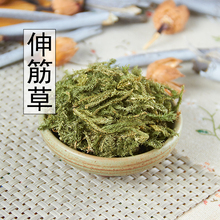 新货伸筋草野生舒筋草 透骨草 三宝茶原料远志仁500克可磨粉