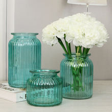花瓶玻璃透明彩色欧式田园插花瓶居家装饰摆件干花瓶创意客厅念冬