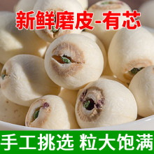 有芯白莲子500g 新货大粒带芯磨皮白莲子无硫湘潭莲子干货