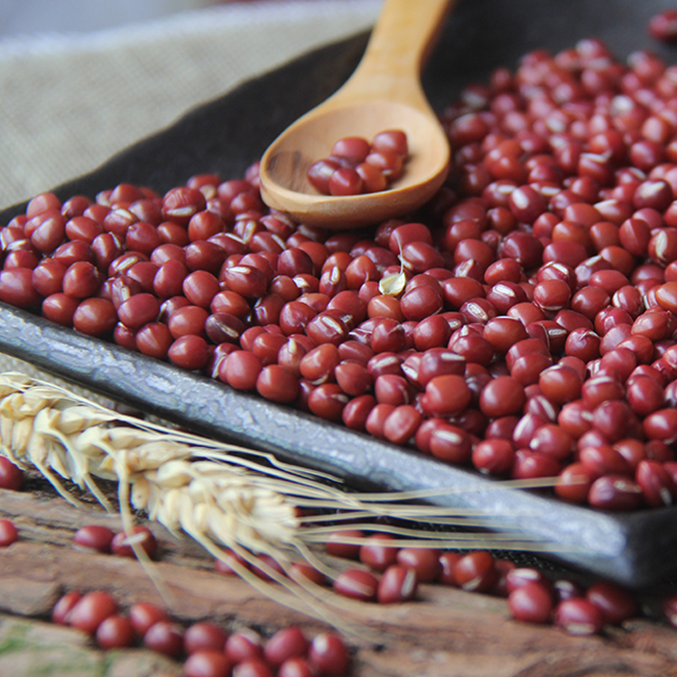 东北大红豆 新货大赤豆黑龙江农家红小豆薏米粥五谷杂粮5斤包邮 图片