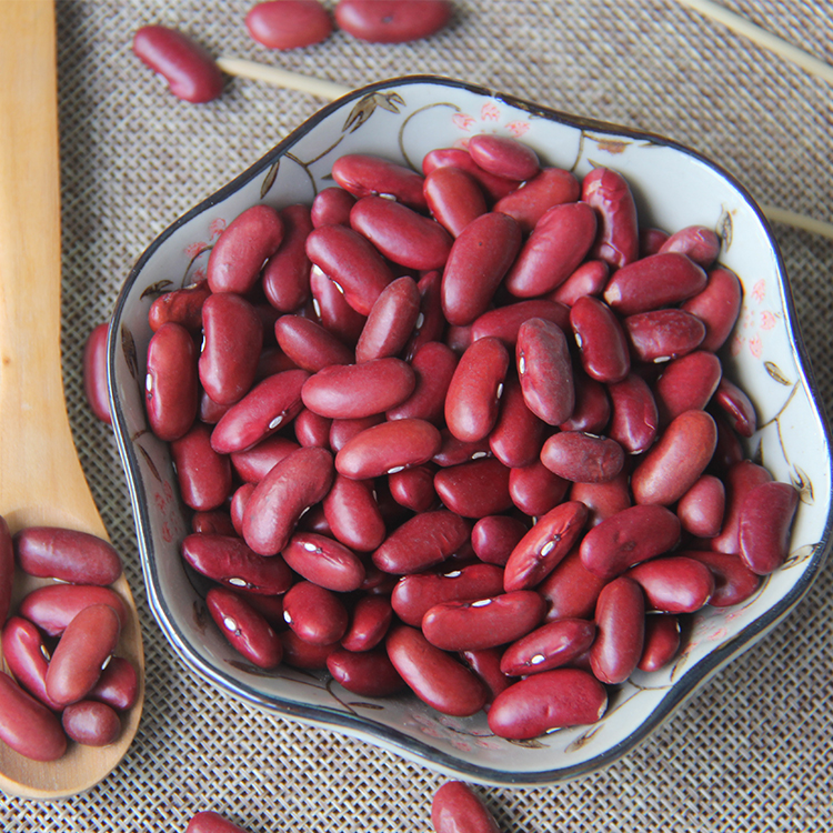 东北大红豆 新货大赤豆黑龙江农家红小豆薏米粥五谷杂粮5斤包邮 图片