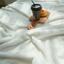 O5Z2出口紫貂绒毛毯床单珊瑚绒毯子冬季加厚保暖纯色法兰绒空调毯