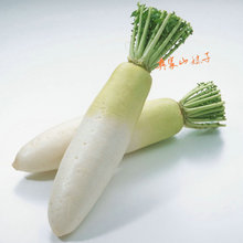 干萝卜丝500g云南特产嫩萝卜条农家自制晒萝卜丝干货嫩萝卜干散装_阿