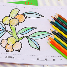 48色水溶性彩铅36色儿童可擦彩色铅笔绘图填色涂鸦油性彩铅笔