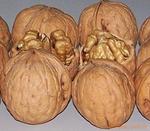 供应陕西薄皮核桃(1箱5斤100元含运费10箱起)