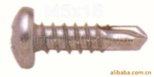供应盘头钻尾螺丝 十字槽自攻自钻螺丝 镀锌盘头十字螺钉螺丝