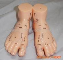 17cm按摩足模型按摩脚模型中医针灸模型脚模型足部按摩穴位模型