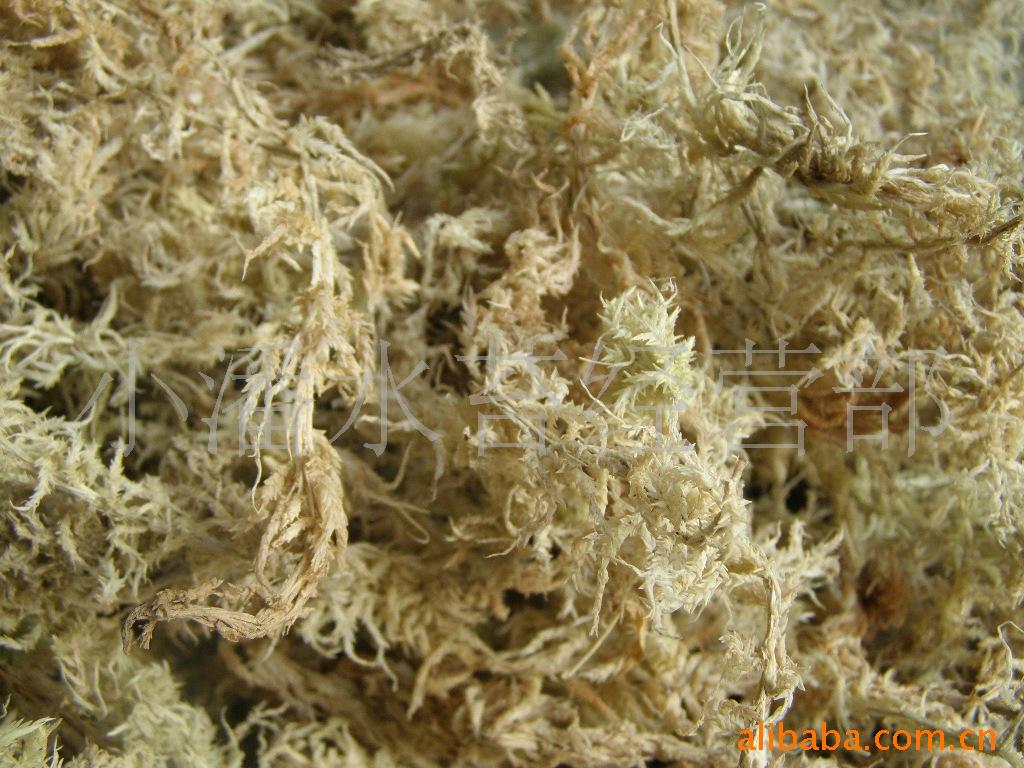 大量销售高原水苔发酵 兰花铁皮石斛专用土
