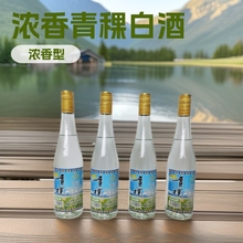 青稞酒 浓香型白酒500ML*12瓶52度纯粮白酒 口粮酒浓香型白酒