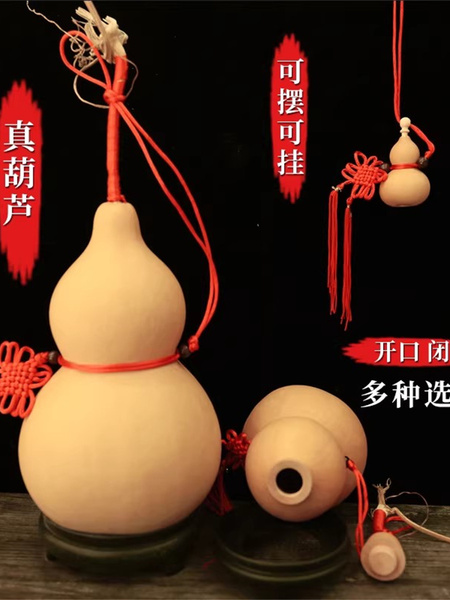 天然大葫芦闭口带龙头葫芦摆件挂件门对门开口有籽空心小葫芦挂件