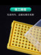 Rongma Plastic 0.2ml 96-hole centrifugal tube box EP tube box ice box eight-connected tube box storage box multi-color optional portable PCR tube box carrying box