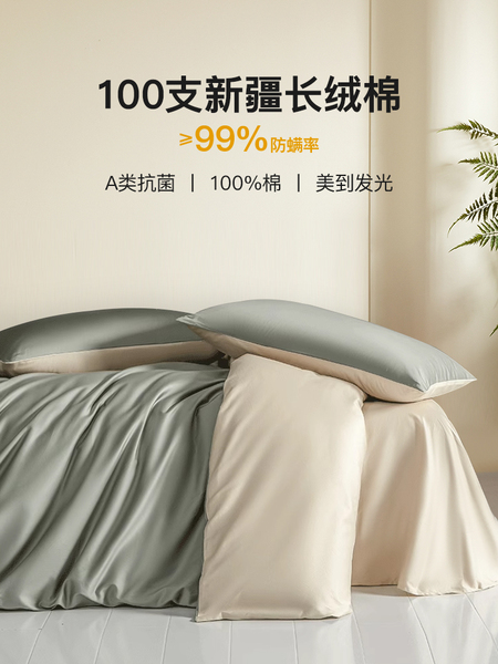 100支新疆长绒棉磨毛防螨四件套全棉纯棉2025新款床单被套床上三4