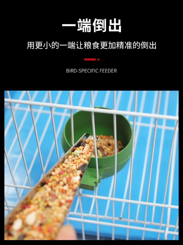 Tiger Parrot Feeder Bird Product