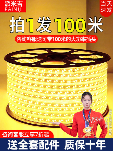 led灯带户外防水220v客厅外墙专用工程室外暖光白暖色高压带灯条