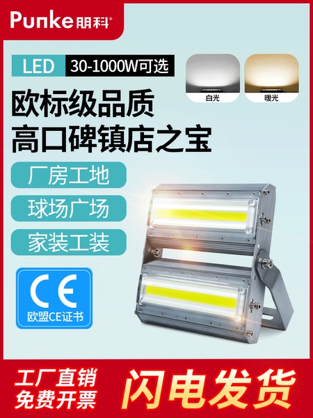 投光灯户外大面积照明灯大功率工程射灯led防水农村自建房房檐灯