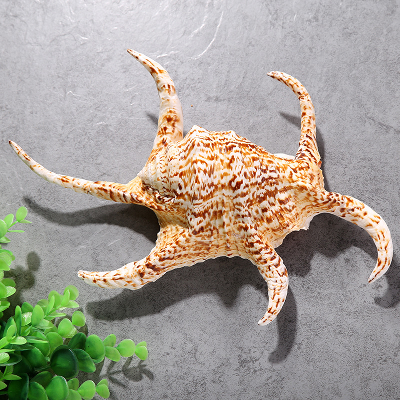 网格导向动作游戏哪个好 人气高的网格导向动作游戏排行