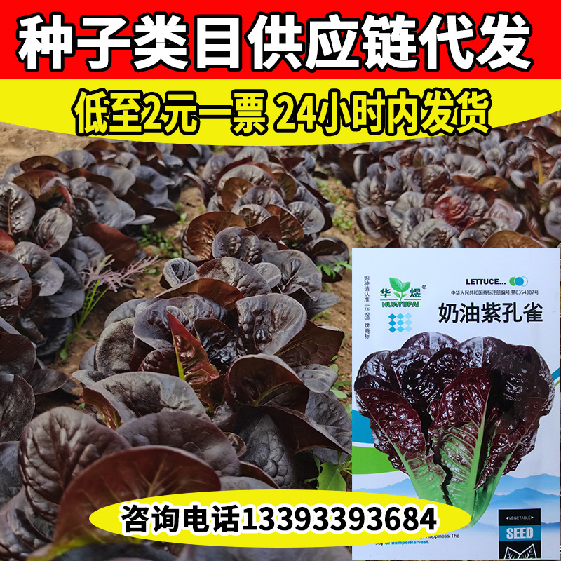 艾沃生UPS不间断电源 C6KS在线式主机