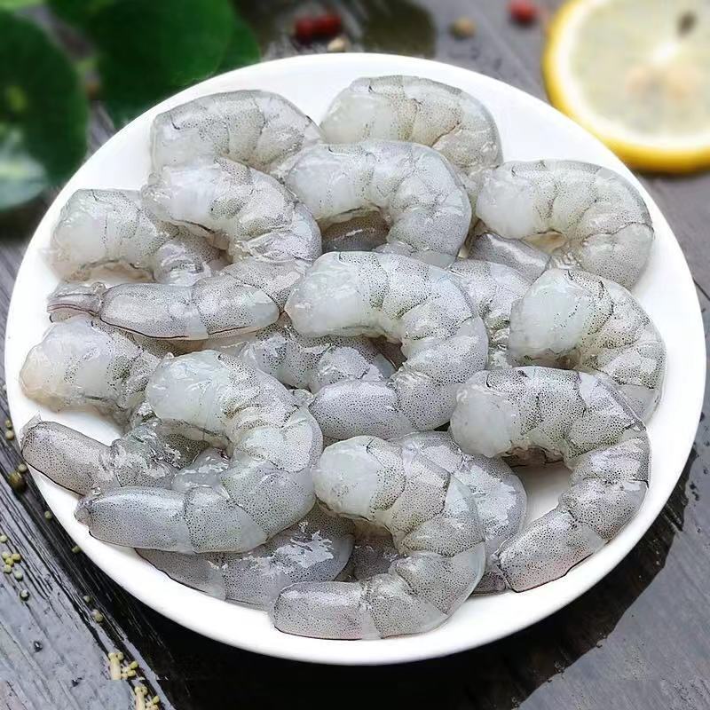 巨兽战场：长颈龙远程制霸