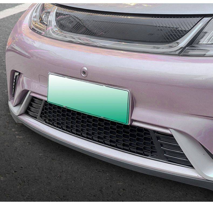 Byd Dolphin Dedicated Insect-Proof Net for Front Grille, Condenser Protection Net, Filter Clip-On Decorative Dust-Proof Net Cover
