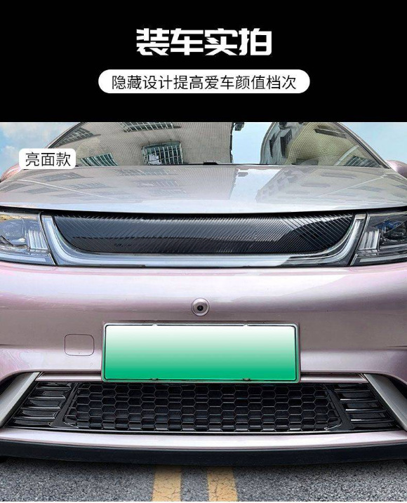 Byd Dolphin Dedicated Insect-Proof Net for Front Grille, Condenser Protection Net, Filter Clip-On Decorative Dust-Proof Net Cover