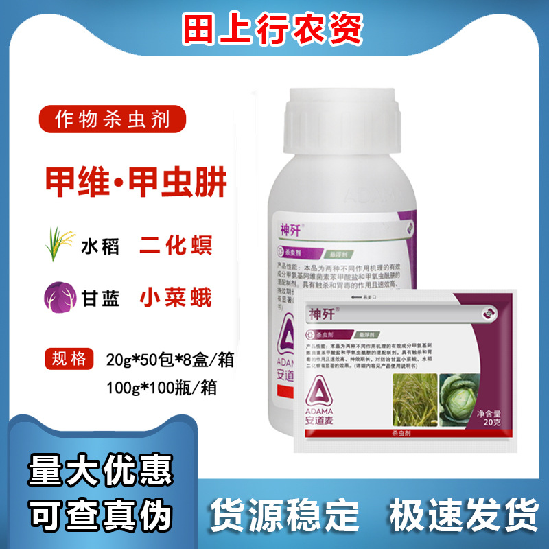 恶人主角游戏推荐哪个 2024恶人主角游戏推荐