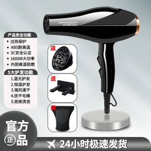 Cross-border new hair dryer household hair dryer hair salon negative ion multi-gear temperature control barber shop hair dryer 110V