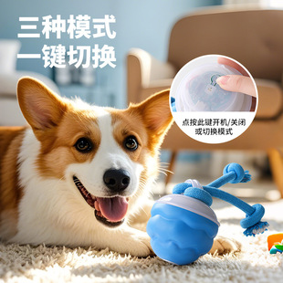 Cross-border New Rechargeable Doggie Ball Smart Doggie Dog Toy Sounding Automatic Rolling Electric Artifact