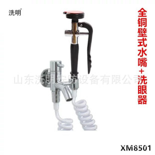 Washing and testing factory eye washer single cooling nozzle eye washer all copper single cooling desktop nozzle single mouth eye washer
