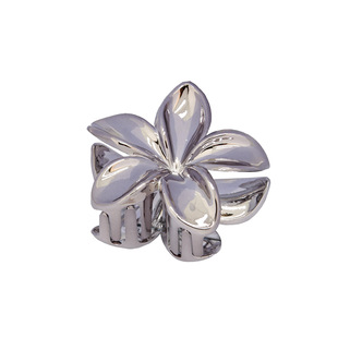 Cross-border new European and American gold and silver flower clip back head hair shark clip simple hair scratch hair accessories wholesale