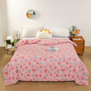 2024 Washable Cotton Printed Spring and Autumn Quilt Autumn and Winter Quilt Core Washable Winter Quilt Dormitory Home Bean Quilt
