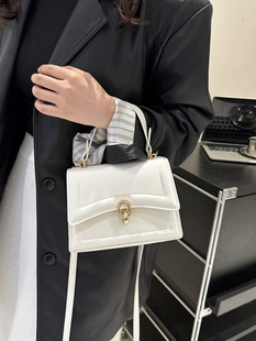 Popular fashion foreign-style ladies handbag women's summer new all-match high-end women's bag shoulder messenger bag wholesale