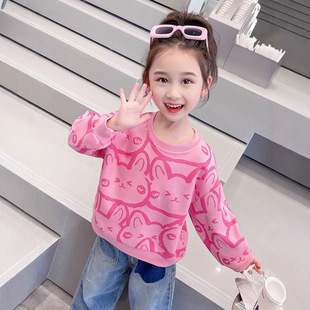 Girls' Spring and Autumn Long Sleeve Sweatshirt Pink Clothes New 2024 Stylish Children's Baby Spring Fashionable Top