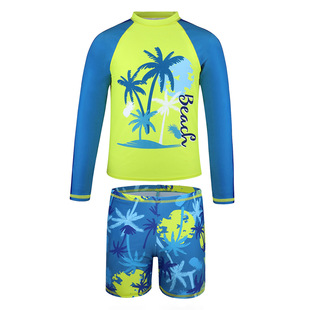 Children's Swimwear Boy's Long Sleeve Split Swimwear 2025 New Coconut Tree Print Shorts Sunscreen Boy's Swimwear