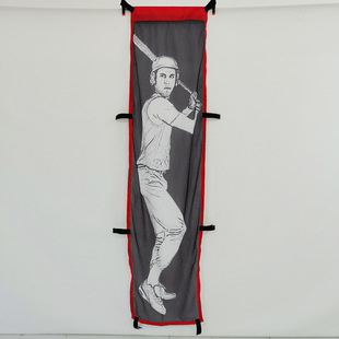 Baseball Strike Net Binning Net Training Practice Net Plane Softball Net Soft Ball Hard Ball Baseball Net Good Ball Area Plane Net