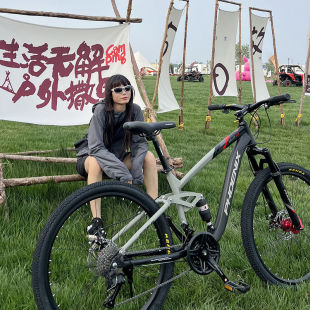 Phoenix High Carbon Steel Soft Tail Mountain Bike Speed Down Bike Double Shock Absorption Men's Adult Lightweight Off-Road Variable Speed Bike
