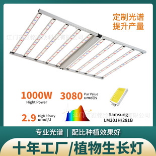 U.S. High Power Full Spectrum Plant Lamp 4x6ft Greenhouse Planting Supplements Lamp 1200W Plant Growth Lamp Factory