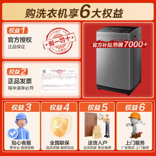 Little Swan Washing Machine Automatic Wave Wheel 6.5kg Small Mini 24-hour Appointment Dehydration Water and Electricity Double Width