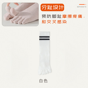 Five-finger socks women's summer thin cotton socks antibacterial anti-beriberi mesh breathable mid-tube toe socks women's toe socks