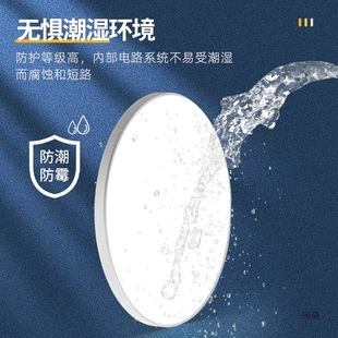 Opal smart balcony lamp led ceiling lamp ultra-thin modern waterproof three-proof round kitchen bathroom corridor