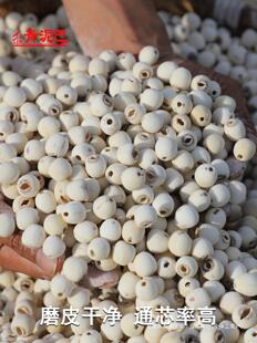 Green mud lotus seed dry goods core sulfur-free Honghu white lotus seed 500g Hubei Jingzhou specialty 2024 new lotus seed