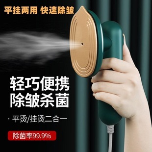 Handheld Steamer Portable Steam Electric iron 220V 1000W