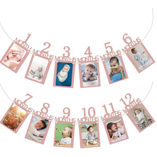 Baby's First Birthday Flag Newborn Baby 1 Month to 12 Months Banner Baby 1St Birthday Photo Frame Flag