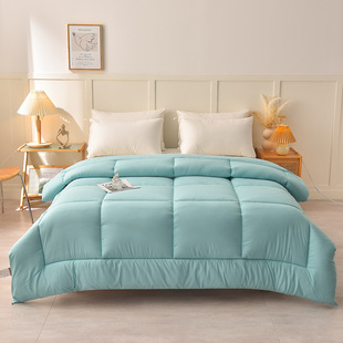 Wholesale Washed Cotton Solid Color Quilt Spring and Autumn Quilt Double Thickened 5.00kg Winter Quilt Summer Gift Quilt Homestay Student Quilt